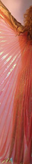 Sheer Wings Salmon 2139