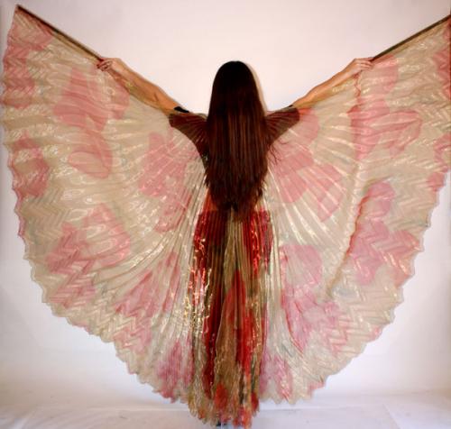 Patterned Wings (11243) 